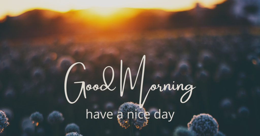 Have a Nice day